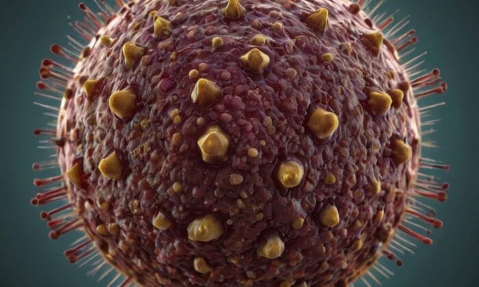 Parvovirus B19